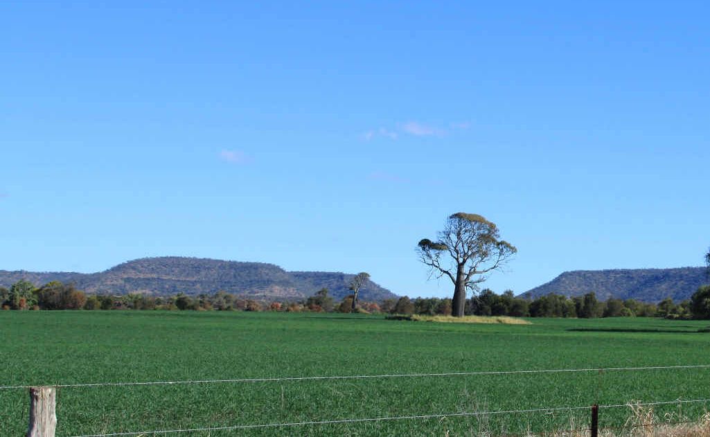 The soil near Arcturus in the Golden Triangle is some of the best cropping land in the state. Bandanna Energy has plans for an underground coal mine nearby. The soil near Arcturus in the Golden Triangle is some of the best cropping land in the state. Bandanna Energy has plans for an underground coal mine nearby.